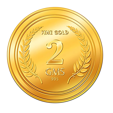 2g Gold Coin